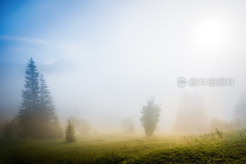 多雾的早晨的太阳