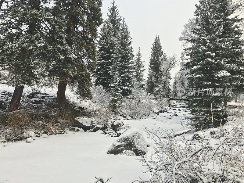 白色风景-科罗拉多州西部高海拔冬季降雪