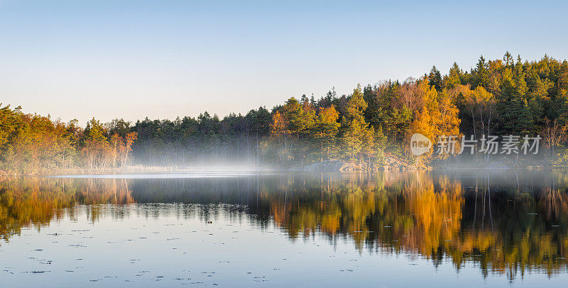 平静的瑞典森林湖泊