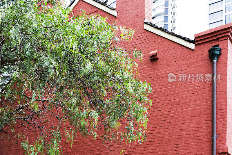 老红房子与树，背景与复制空间