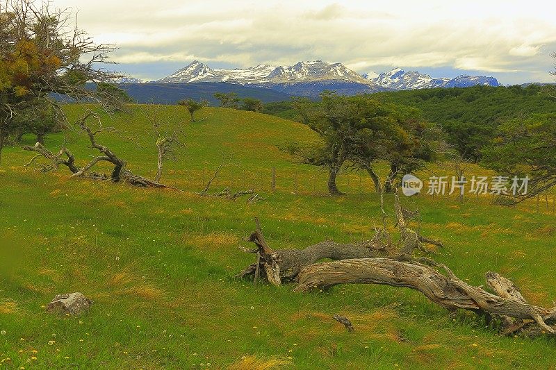 田园诗般的安第斯景观，乌斯怀亚-火地岛，阿根廷-南美