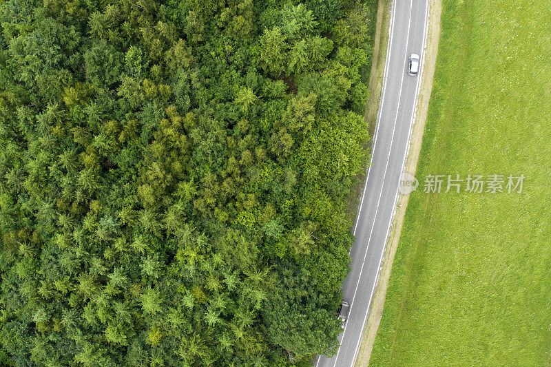 道路，树木和田野