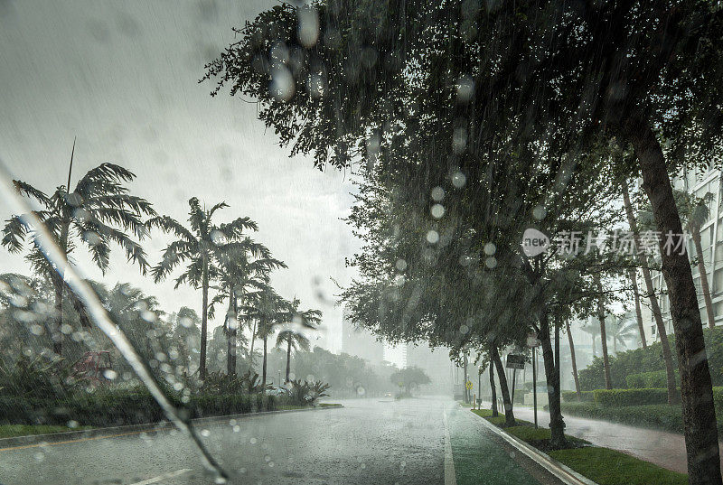 热带雨