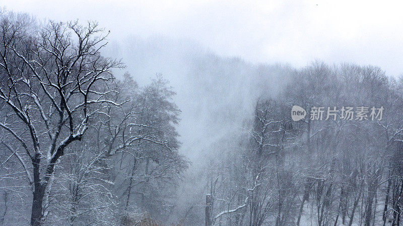 森林里有暴风雪，大风在山腰上刮起一根雪柱