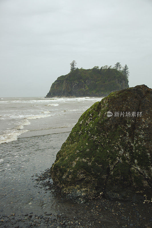 太平洋西北奥林匹克国家森林海滩