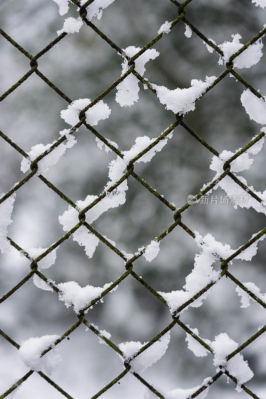 铁链篱笆上的雪