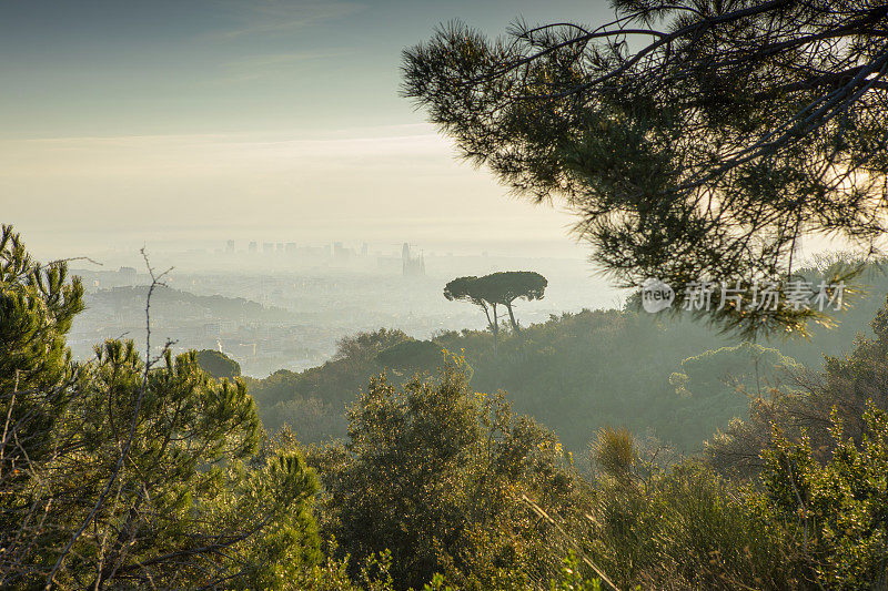 二月，巴塞罗那Collserola山的日出