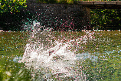 孩子在水中嬉戏，溅起水花。