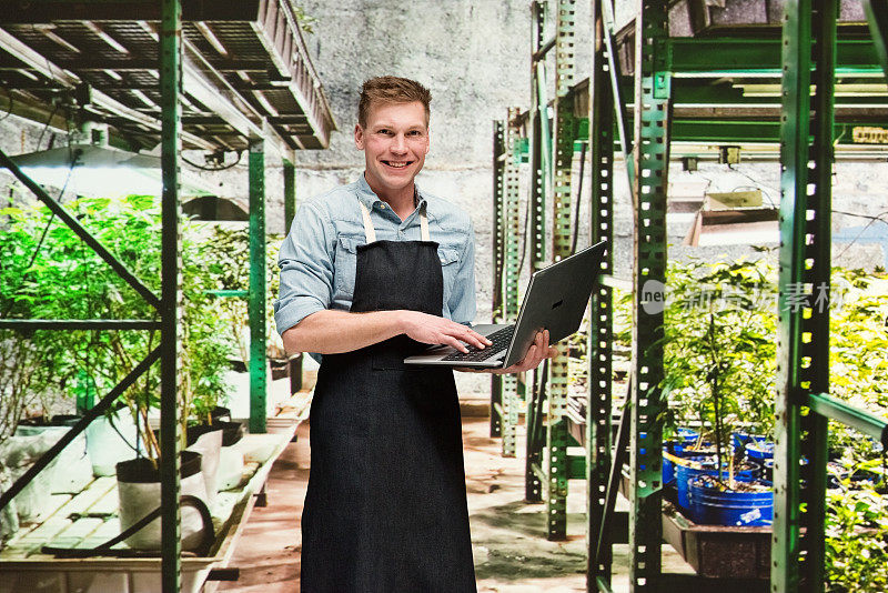 大麻店-一名男性员工正在笔记本电脑上工作