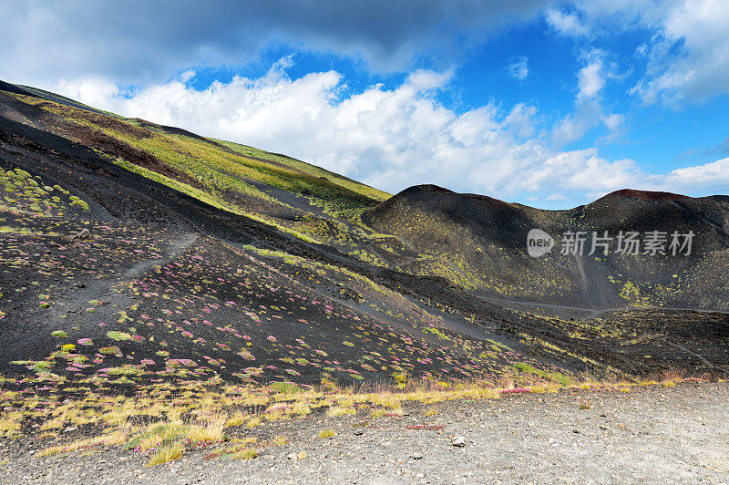 西西里岛埃特纳火山的火山景观