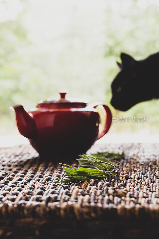 竹编桌上的红茶壶，上有干茶、鲜香草和好奇的猫