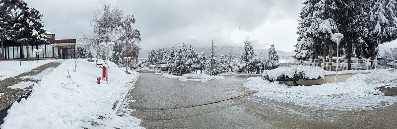 雪域森林全景，冬季景观