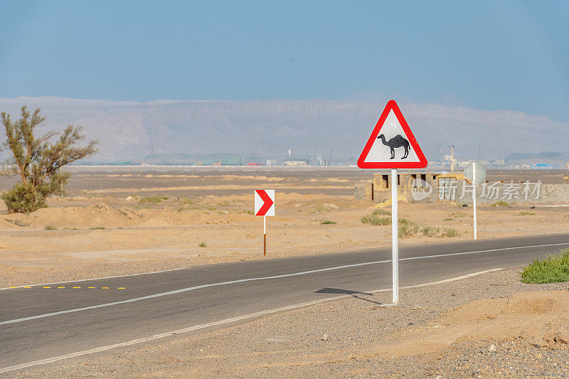路标:在沙漠中小心骆驼。骆驼过马路，伊朗卢特沙漠的标志