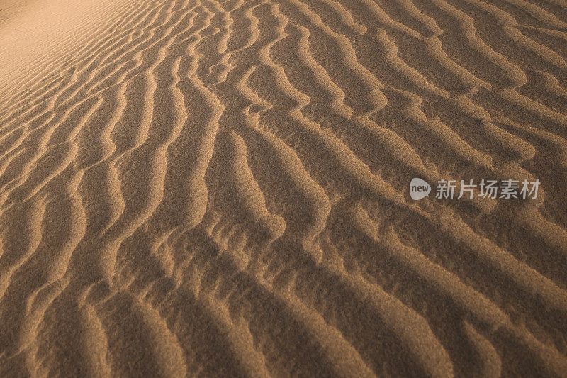 美丽的沙丘纹理图案背景死亡谷-波浪线，阳光，水平