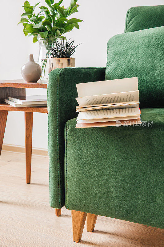 绿色的沙发，有枕头，书和毯子，旁边的木咖啡桌和植物