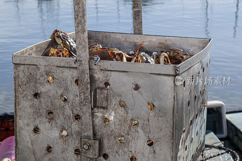 活螃蟹从螃蟹船上卸下来