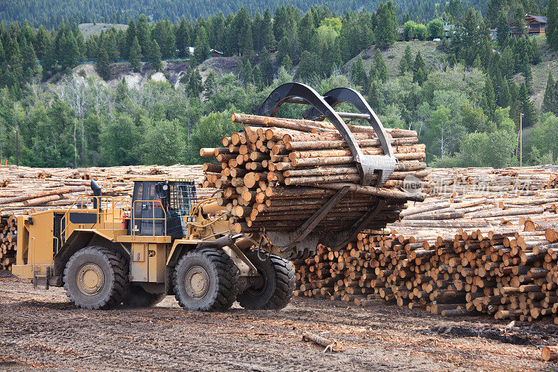 伐木工业中木材加工厂的重型机械