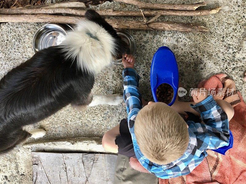 孩子喂宠物狗