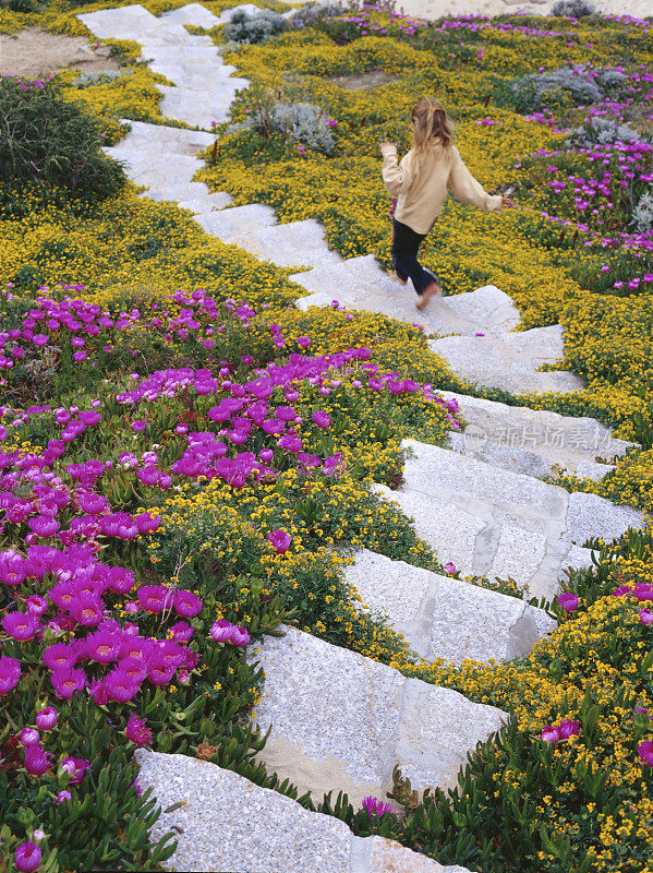 年轻的女孩跑下台阶穿过野花