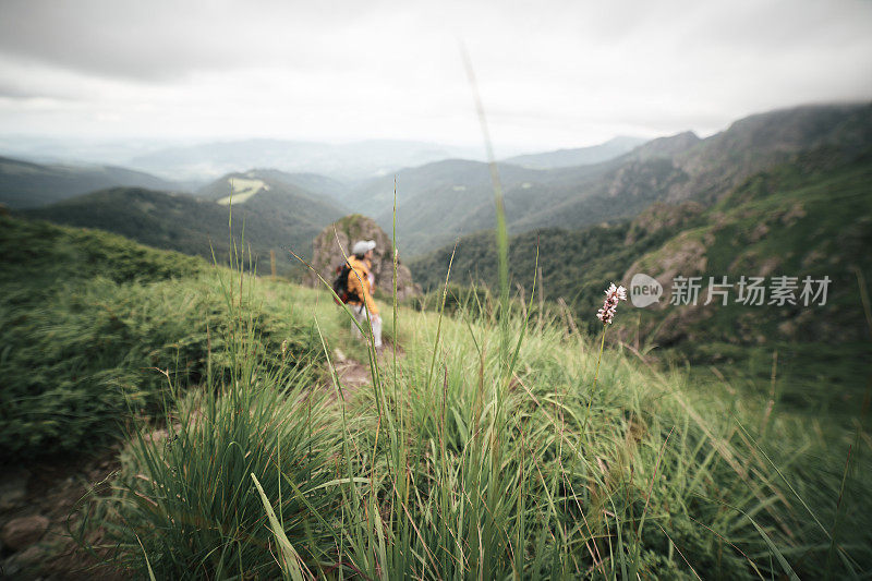 回归自然。独自在山里徒步旅行的女人。2019冠状病毒病大流行后阳光明媚的户外享受。