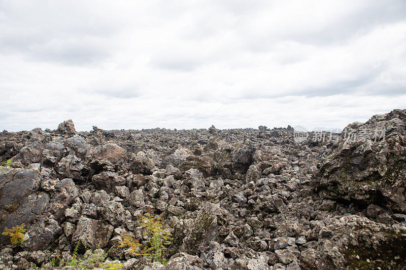 中国黑龙江省火山岩田