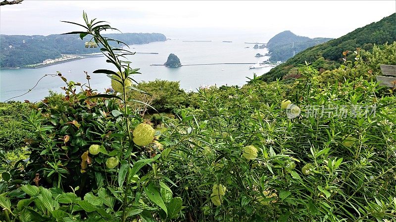 日本。7月。从下田索道顶端俯瞰美丽的全景。