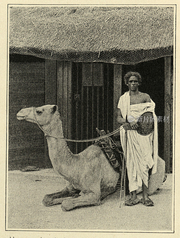 一个骑着骆驼的索马里人，维多利亚十九世纪