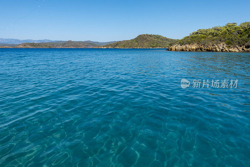 有松树的海岸线