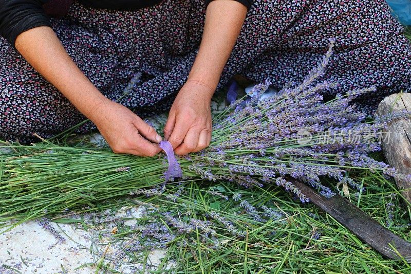 在Kuyucak村，一名妇女坐在地上制作薰衣草。只能看到女人的手和腿