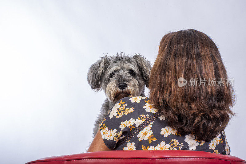 一位女士抱着她的雪纳瑞犬