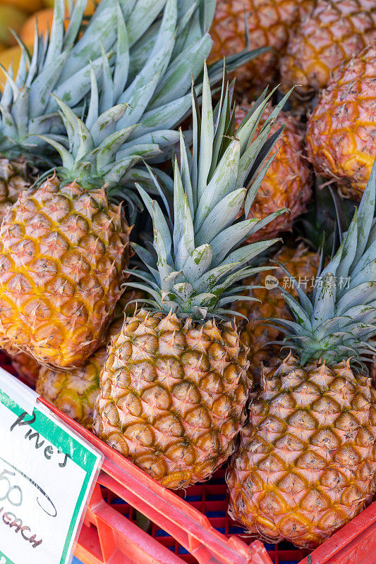 农贸市场展出的有机菠萝