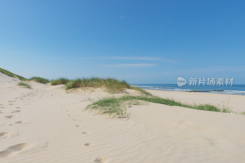 在一个美丽的夏日，沙滩上的沙丘和沙滩草