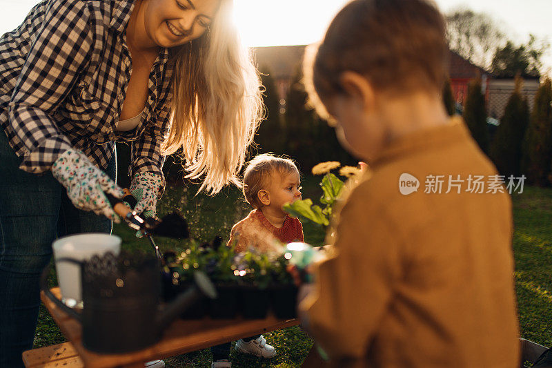 年轻的母亲和她的孩子们一起在花园里种花