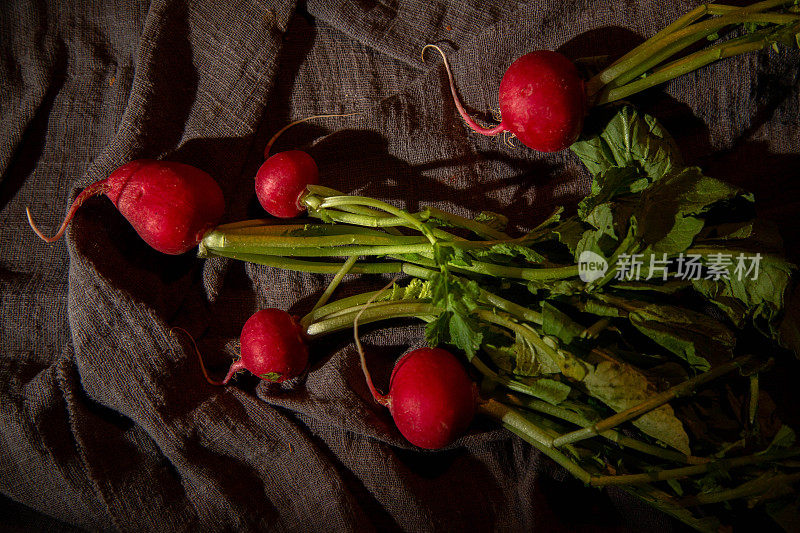 静物:新鲜的樱桃萝卜在桌子上，工作室拍摄