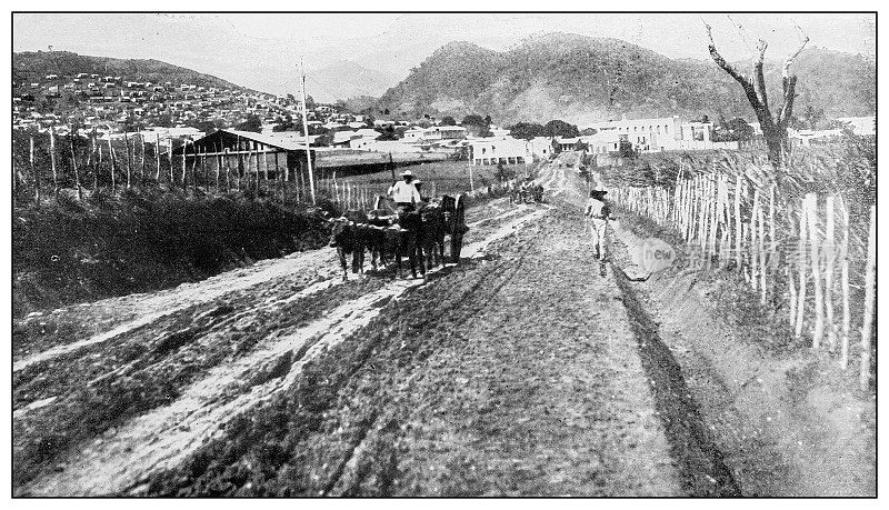 古董黑白照片:通往波多黎各Yauco的道路