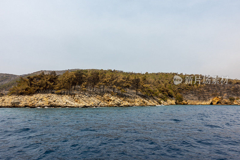 海岸森林大火之后