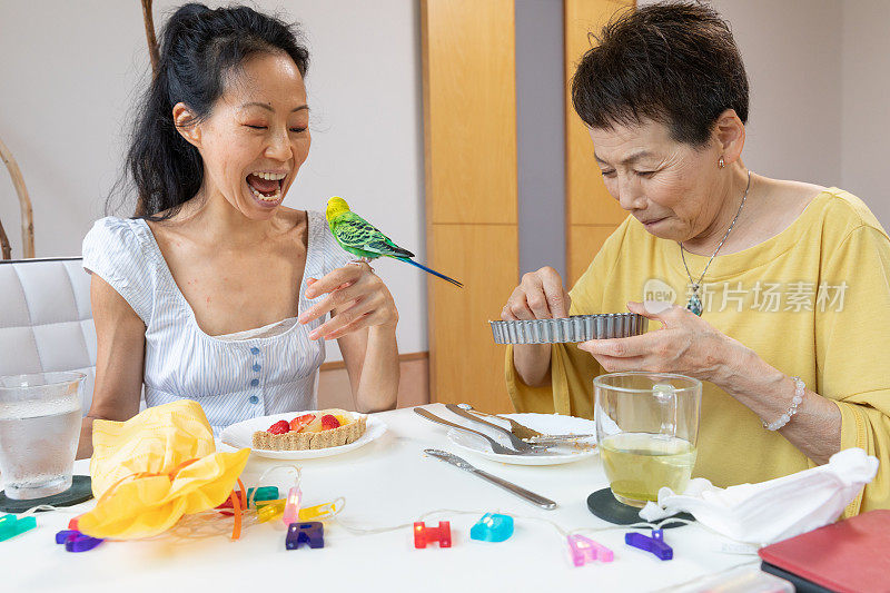 和宠物在家里庆祝生日