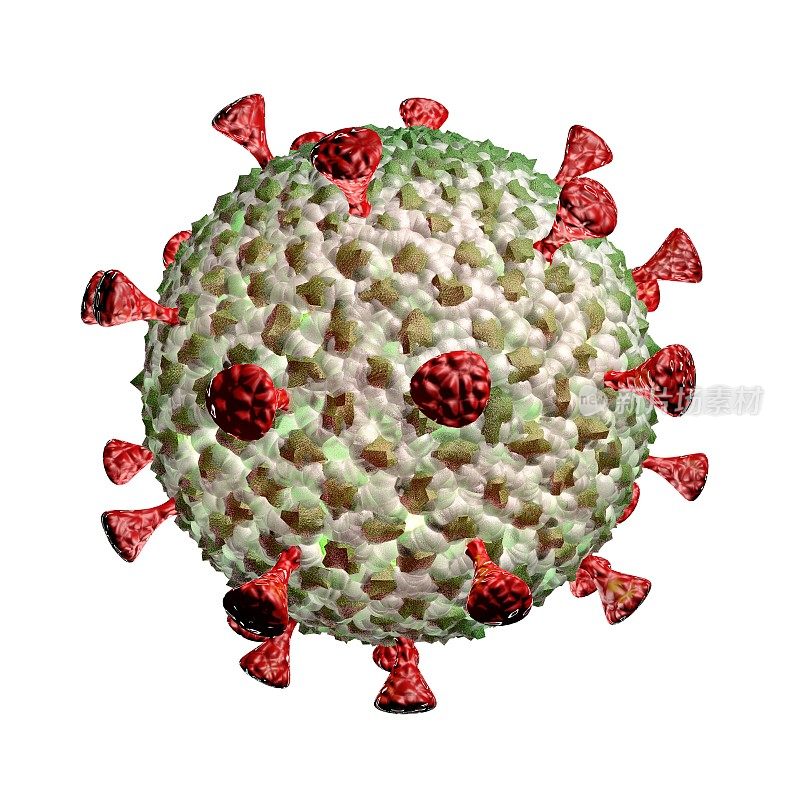 致命的冠状病毒细胞概念设计。3D渲染白色背景。