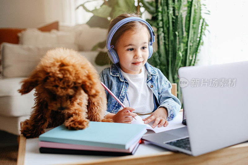 在家学习远程学习在家里与教师教学远程与狗