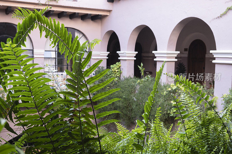 墨西哥圣米格尔德阿连德，带有拱形柱子和植物的殖民风格房屋内部