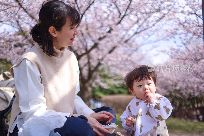 年轻的母子在樱花下吃午饭