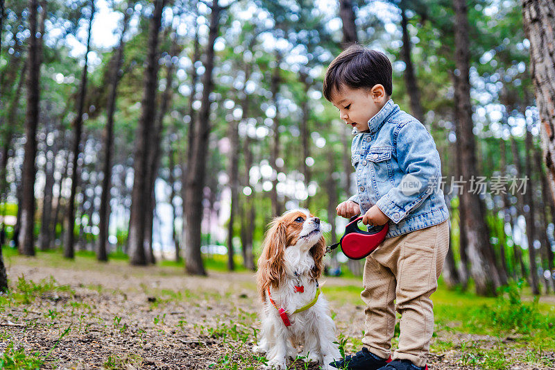 可爱的小男孩和查理士王猎犬在大自然中漫步