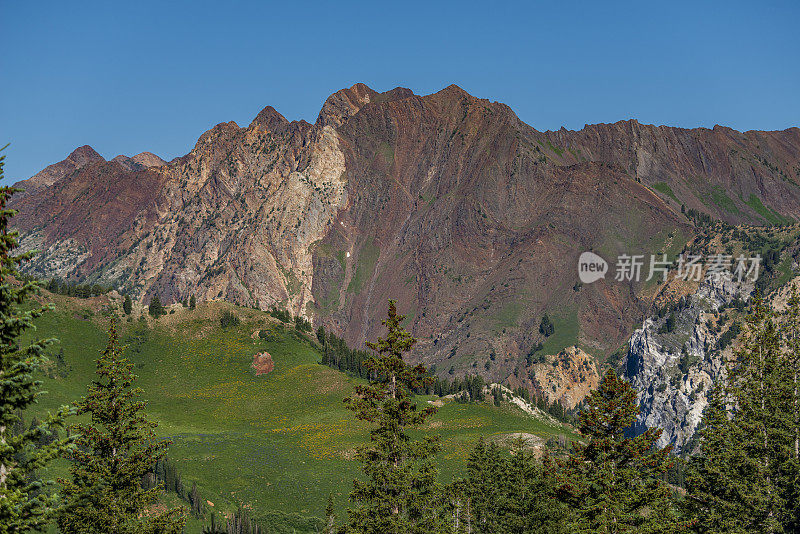 犹他州瓦萨奇山脉的山谷