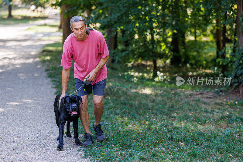 我的狗喜欢在散步时被当作宠物