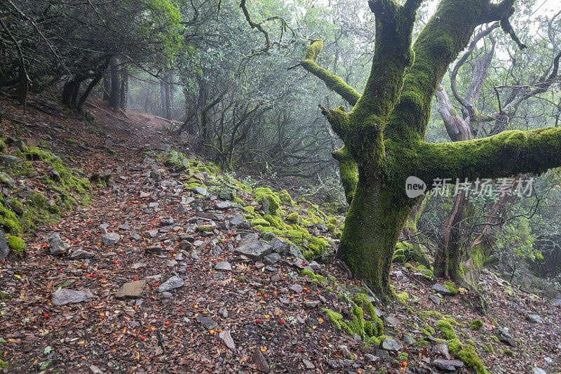 山间田园诗般的风景