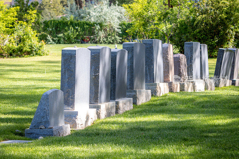 白天墓地里的一排墓碑
