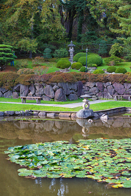秋季日本花园锦鲤池