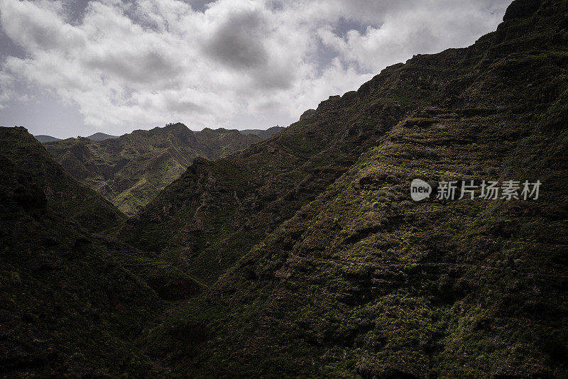 加那利群岛特内里费岛的海岸生态系统