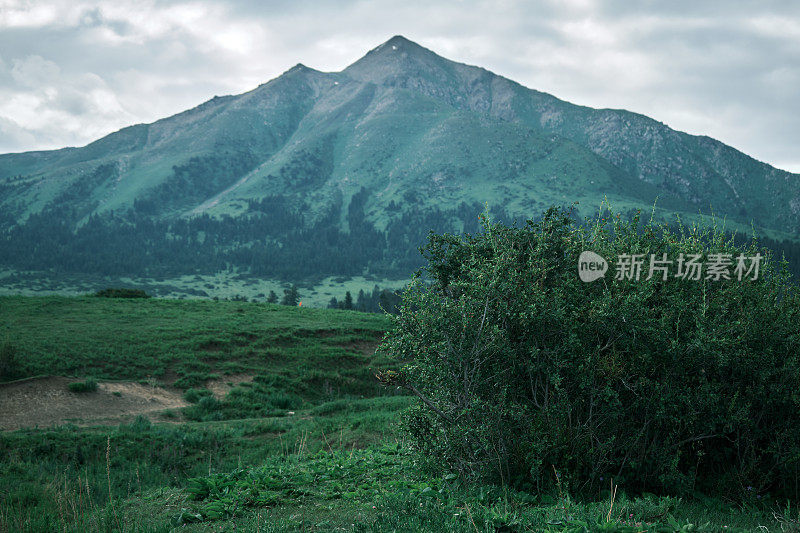 夏季山脊的高角度视图