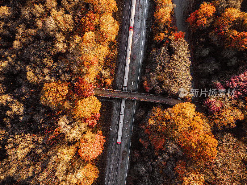 通勤火车在秋季森林景观中的鸟瞰图